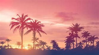 Image result for Palm Trees Sunset Pinterest