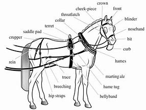 Image result for Harness Saddle Hook
