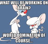 Image result for Pinky and the Brain Map Meme