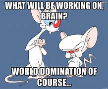 Image result for Brain Pinky and the Rude Meme