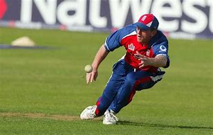 Image result for Fielder On Pitch in Cricket