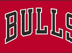 Image result for Bulls Jersey Logo