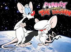 Image result for Binky and Brain