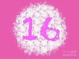 Image result for Pink Number 16