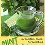 Image result for Mint Syrup