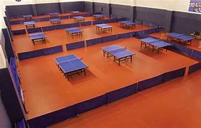 Image result for Table Tennis Floor