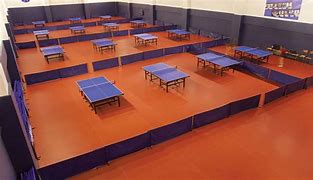 Image result for Table Tennis Flooring