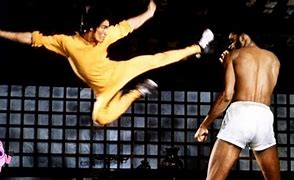 Image result for Martial Arts Fight Scenes