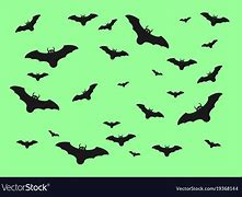 Image result for Scary Bat Paint Job