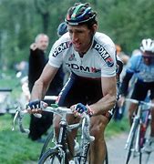 Image result for Sean Kelly Ciclista
