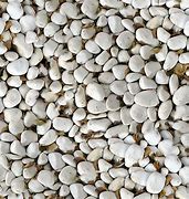 Image result for 种花 White Pebbles