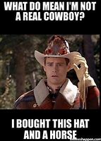 Image result for Crying Cat Meme Cowboy Hat
