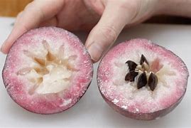 Image result for Apple Fruit Cut in Half