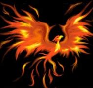 Image result for La Ave Fenix