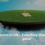 Image result for Children Playing Cricket Quotes
