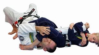 Image result for Brazilian Jiu Jitsu Moves