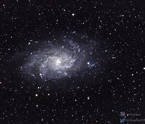 Image result for Messier 33