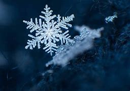 Image result for Largest Snowflake Ever Recorded