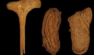 Image result for Guglionesi 6000 Years Old