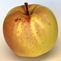 Image result for Compare and Contrast Essay of Apple and Banana