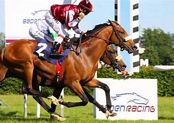 Image result for Baden-Baden Racecourse