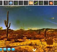 Image result for Desert Escape Cactus