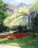 Image result for American Fine Arts Painting