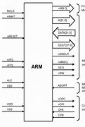 Image result for Arm Pin Diagram