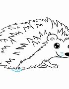 Image result for Hedgehog Drawing