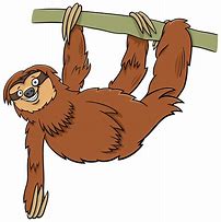 Image result for Funny Sloth Drawings