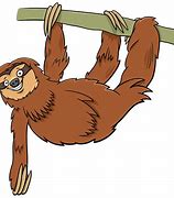 Image result for Sloth Cartoon