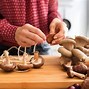 Image result for Are Mushrooms Vegetables