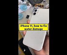 Image result for iPhone 11 Water Damage Screen Black
