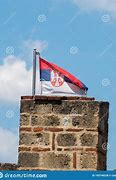 Image result for Serbia Flag Official