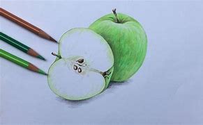 Image result for Pencil Color Drawwing