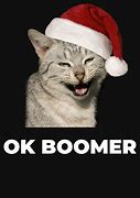 Image result for OK Boomer Cat Meme