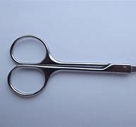 Image result for Lab Scissors