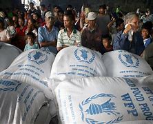 Image result for World Food Programme Philippines