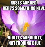 Image result for Red Rose Meme