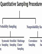 Image result for Qualitative and Quantitative Concepts and Sampling