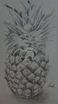 Image result for Easy Fruit Sketches