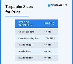 Image result for 3X5 Size Tarp