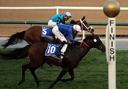 Image result for Horse Race at the Finish