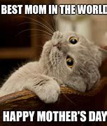 Image result for Happy Mother's Day Animal Meme
