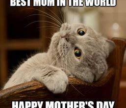 Image result for Cute Mother's Day Memes