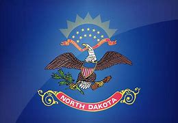 Image result for North Dakota House Flag