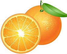 Image result for An Orange Clip Art