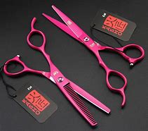 Image result for Professional Hair Scissors