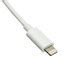 Image result for USB Flash Cord for iPhone
