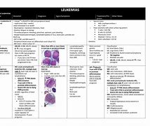 Image result for Acute and Chronic Leukemia